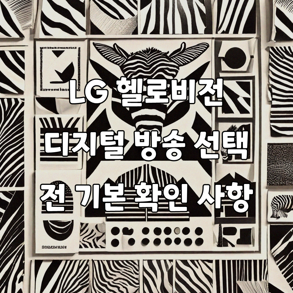 LG 헬로비전 디지털 방송, 이것만은 꼭 확인하세요