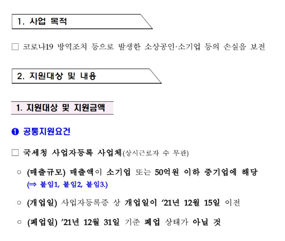 소상공인손실보전금