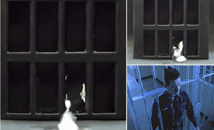 터미네이터 형체 변신 로봇이 현실로? VIDEO: Shapeshifting robot liquefies to seep through bars and then reforms