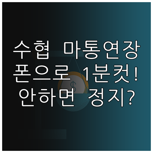 수협은행 마이너스통장 기한 연장 신청..