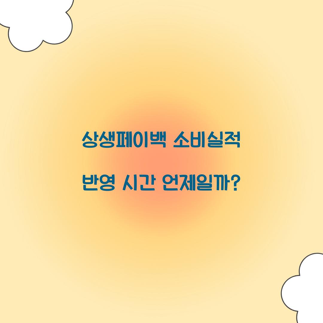 상생페이백 소비실적 반영 시간 언제일까?