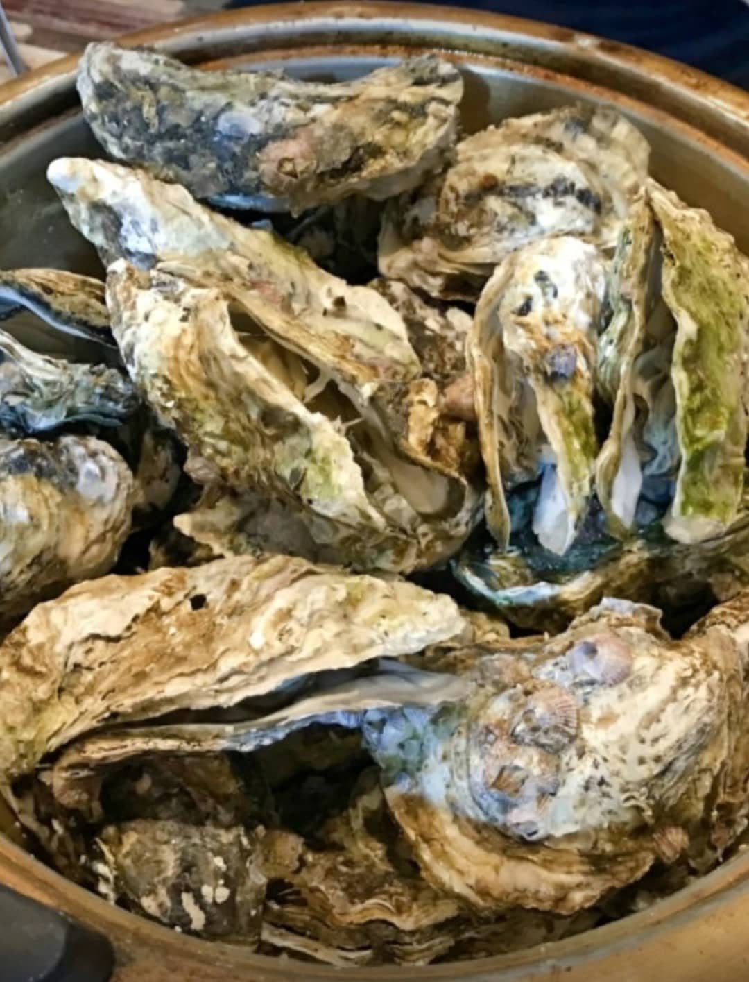 생생정보 가격파괴why굴찜 무한리필!!!(2026년 1월 8일 목요일 방송)