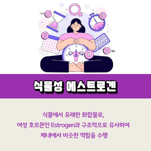 식물성 에스트로겐