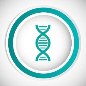 이기적 유전자 이론 이미지