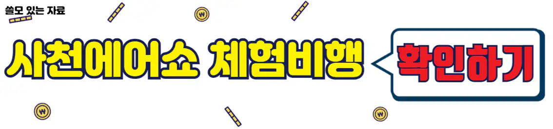 사천에어쇼 체험비행