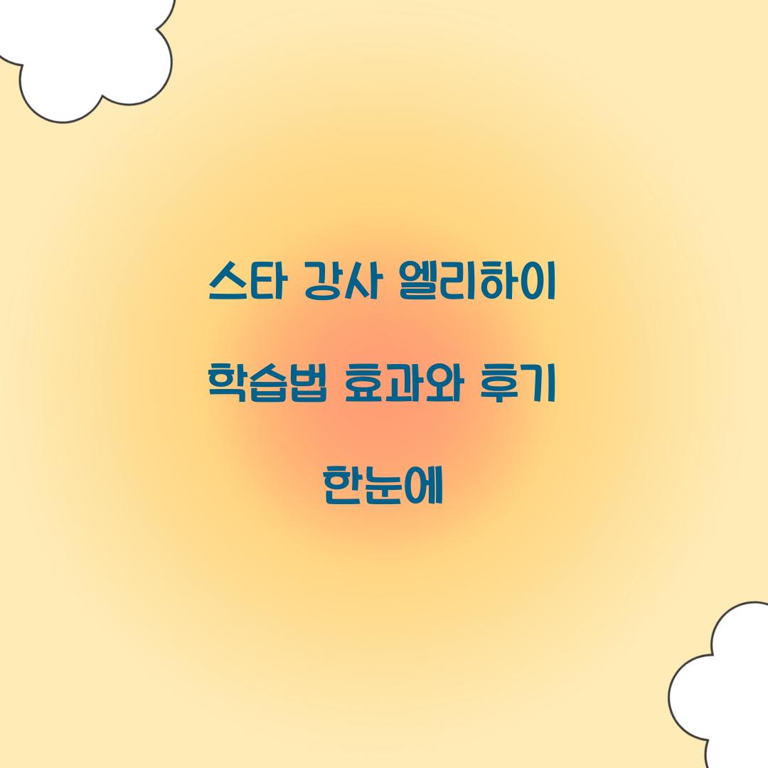 스타 강사 엘리하이 학습법