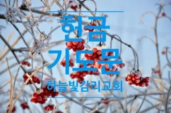 헌금기도문 모음 정리본_22