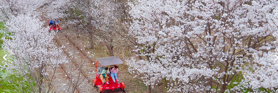 가평 레일바이크