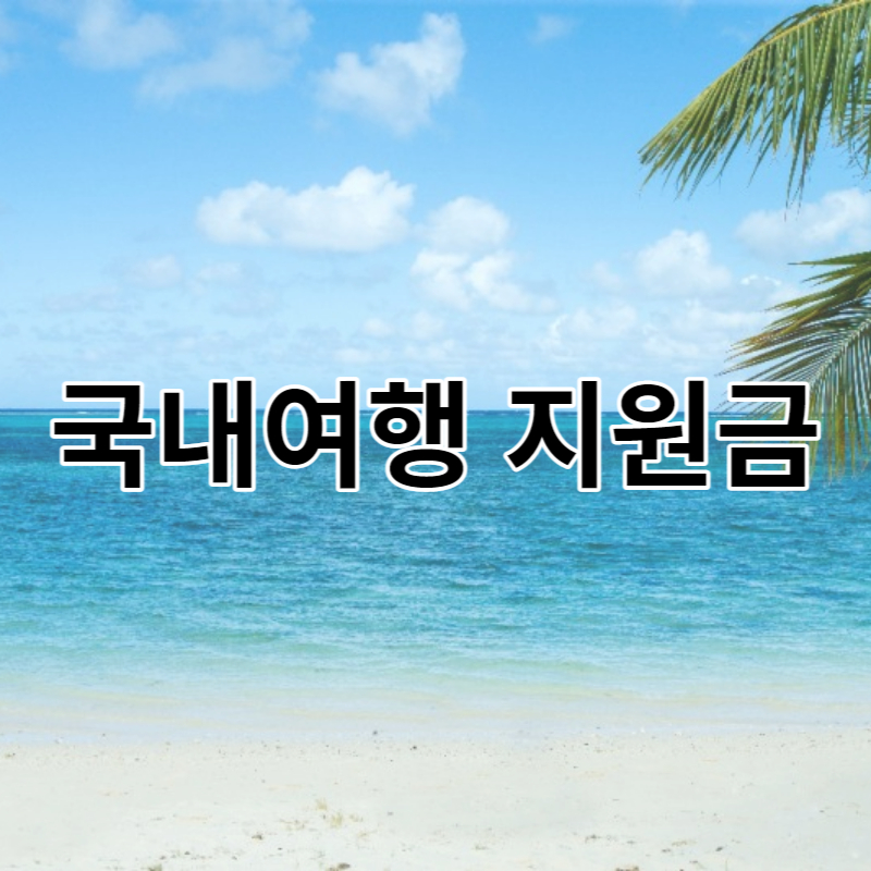 국내여행 지원금