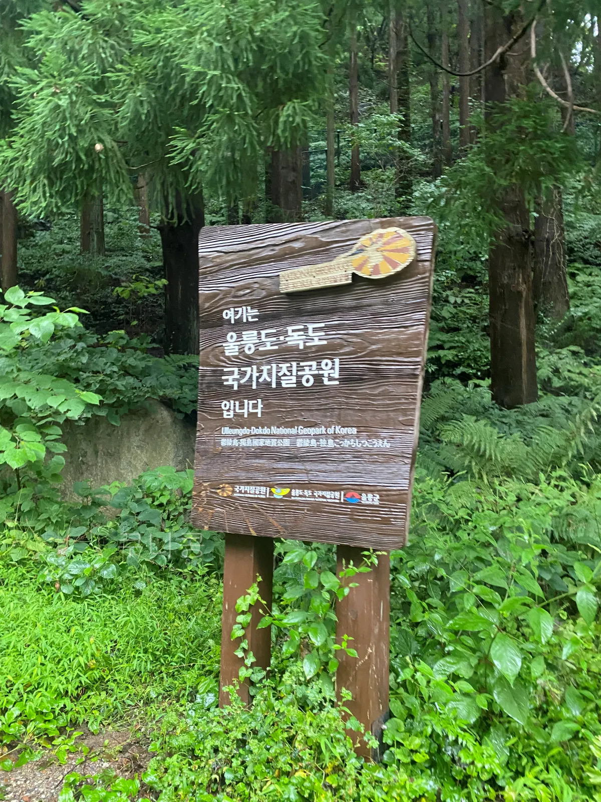 울릉도-추석가족여행-2일차-봉래폭포-입장료할인-주차정보-등산-난이도