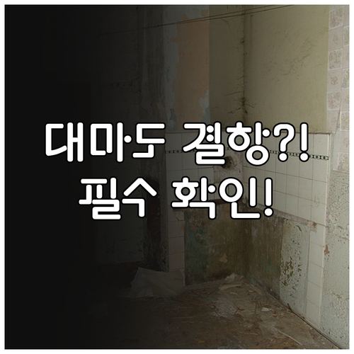 대마도 배 결항 자주 묻는 질문 답변..