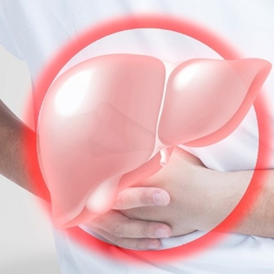 간수치-정상범위