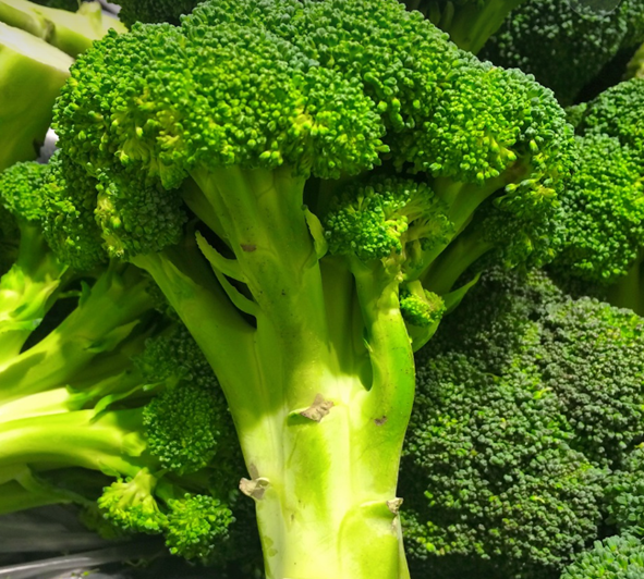 혈압-낮추는-음식-브로콜리