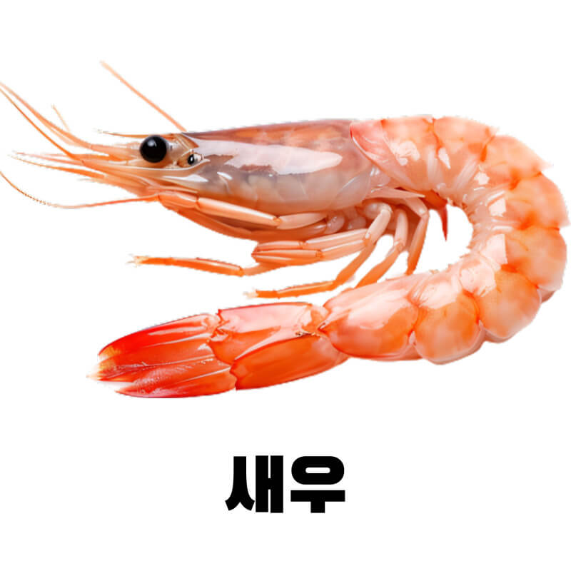 생선&amp;#44; 새우&amp;#44; 시금치