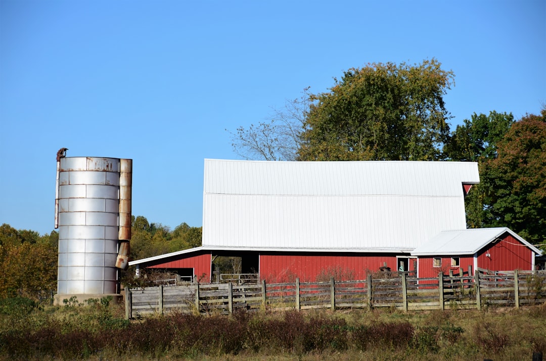 Agricultural Bank