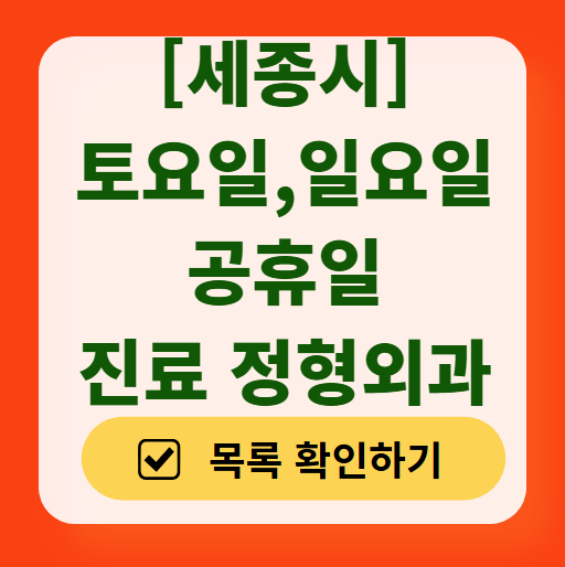 세종시 일요일 문 여는 정형외과 목록 ❘ 토요일, 주말, 공휴일 진료 영업 병원 리스트
