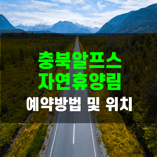 충북알프스자연휴양림 예약, 주차, 환불, 맛집&middot;여행지 총정리