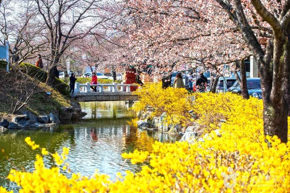 김천 가볼만한곳 베스트10