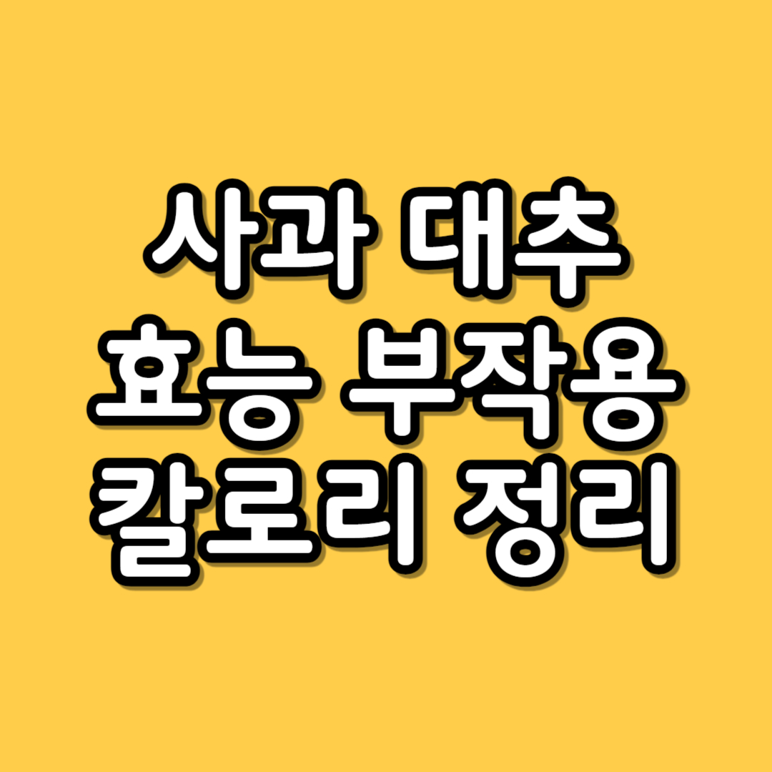 사과대추-효능