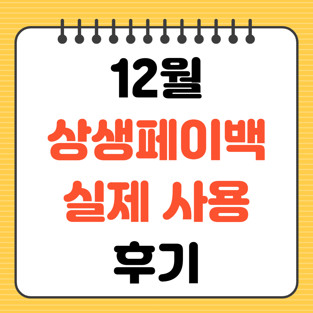 12월 상생페이백 실제 사용 후기