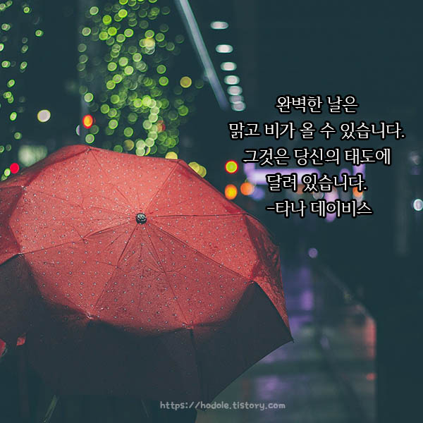 아니그런데