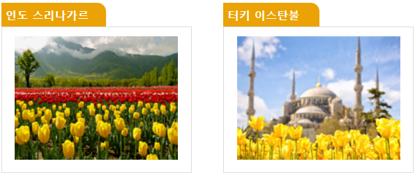 태안 세계 튤립 축제