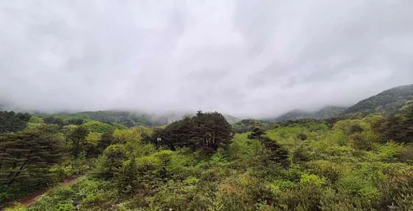 성주성산동고분군