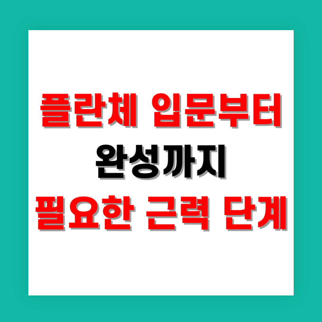 플란체 입문부터 완성까지 필요한 근력 단계