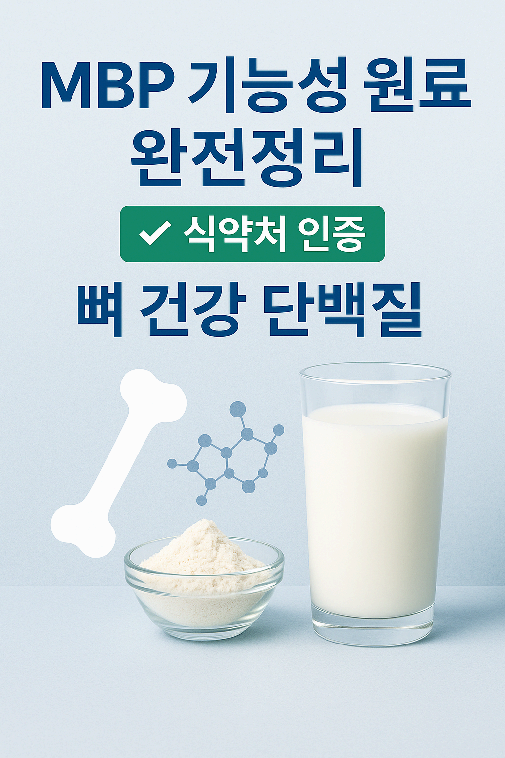 MBP 기능성 원료 완전정리|식약처 인증 뼈 건강 단백질