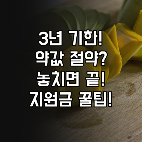 2025년 약품비 본인일부부담차액 지..