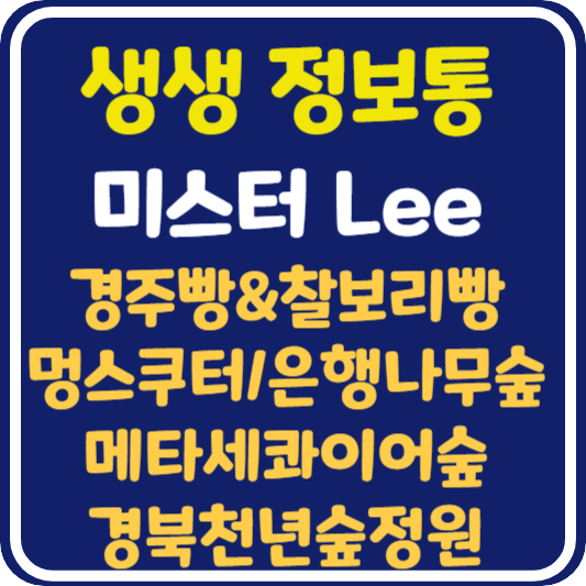 생생 정보통 미스터Lee 경주: 경주빵 찰보리빵, 스누피스쿠터, 은행나무숲, 메타세콰이어숲, 경북천년숲정원, 한복대여점 위치 및 정보