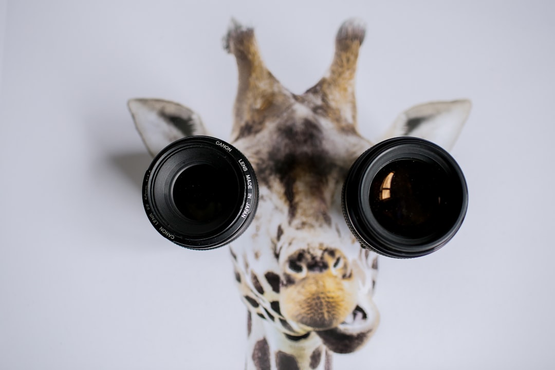 Lens