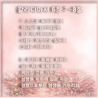 갈라디아서 6장 14절 묵상 십자가의 자랑_22