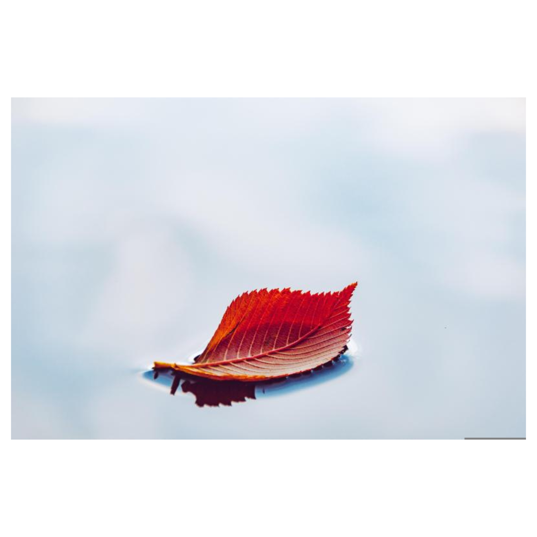 여주와 관련된 사진입니다.