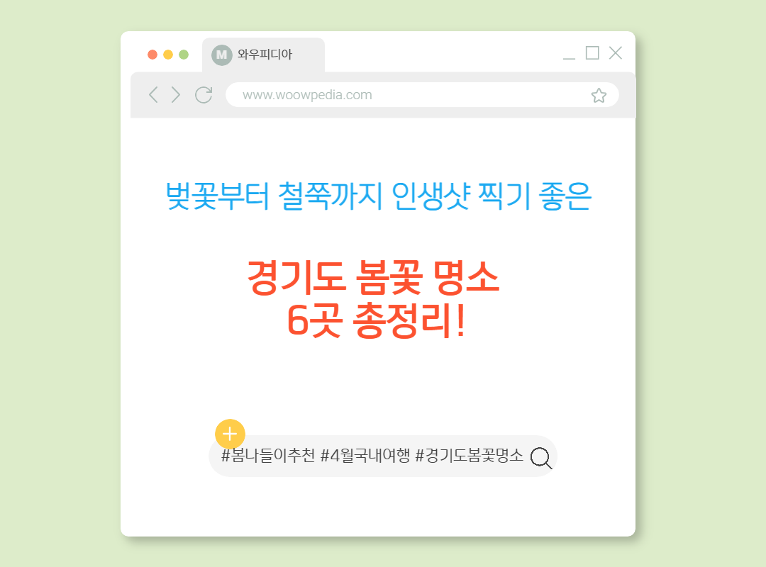 벚꽃부터 철쭉까지 인생샷 찍기 좋은, 경기도 봄꽃 명소 6곳 총정리!
