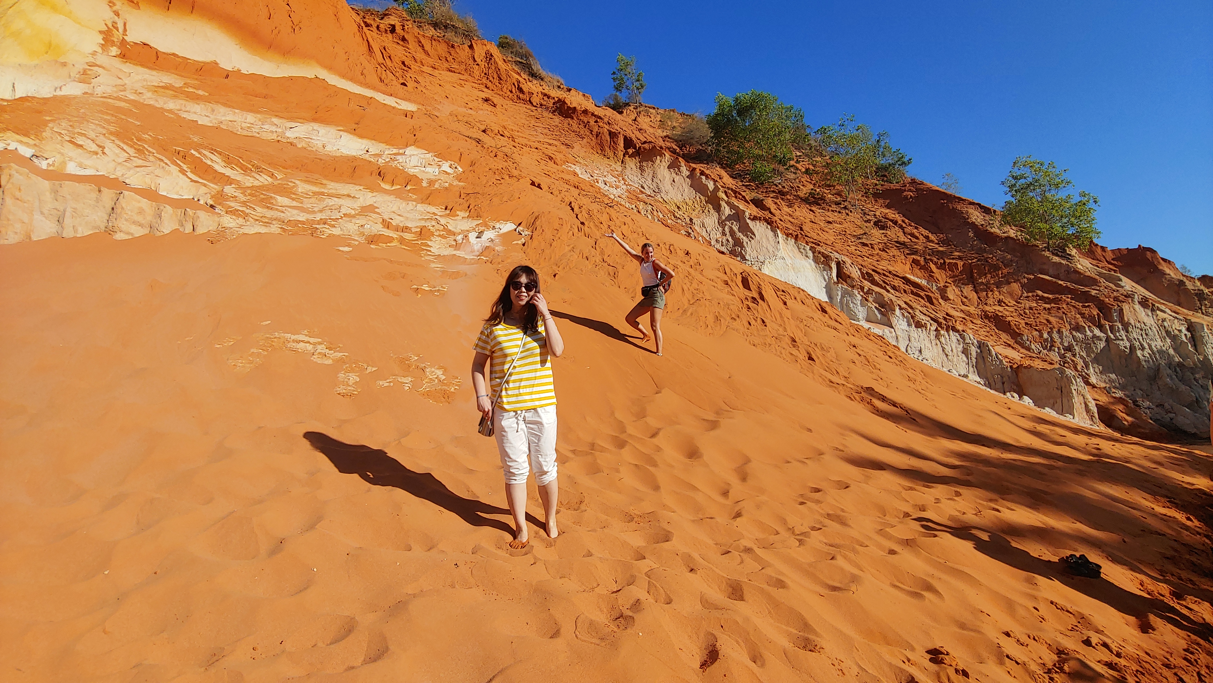 요정의 샘에서 발견한 레드샌듄의 줄기