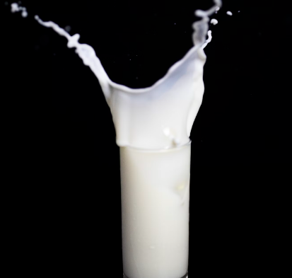 칼슘이 많은 음식