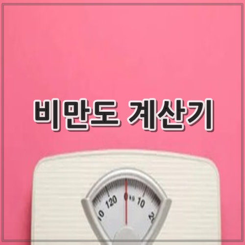 비만도 계산기