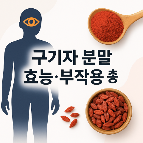 구기자 분말 효능과 부작용을 설명하는 건강 블로그 썸네일 이미지