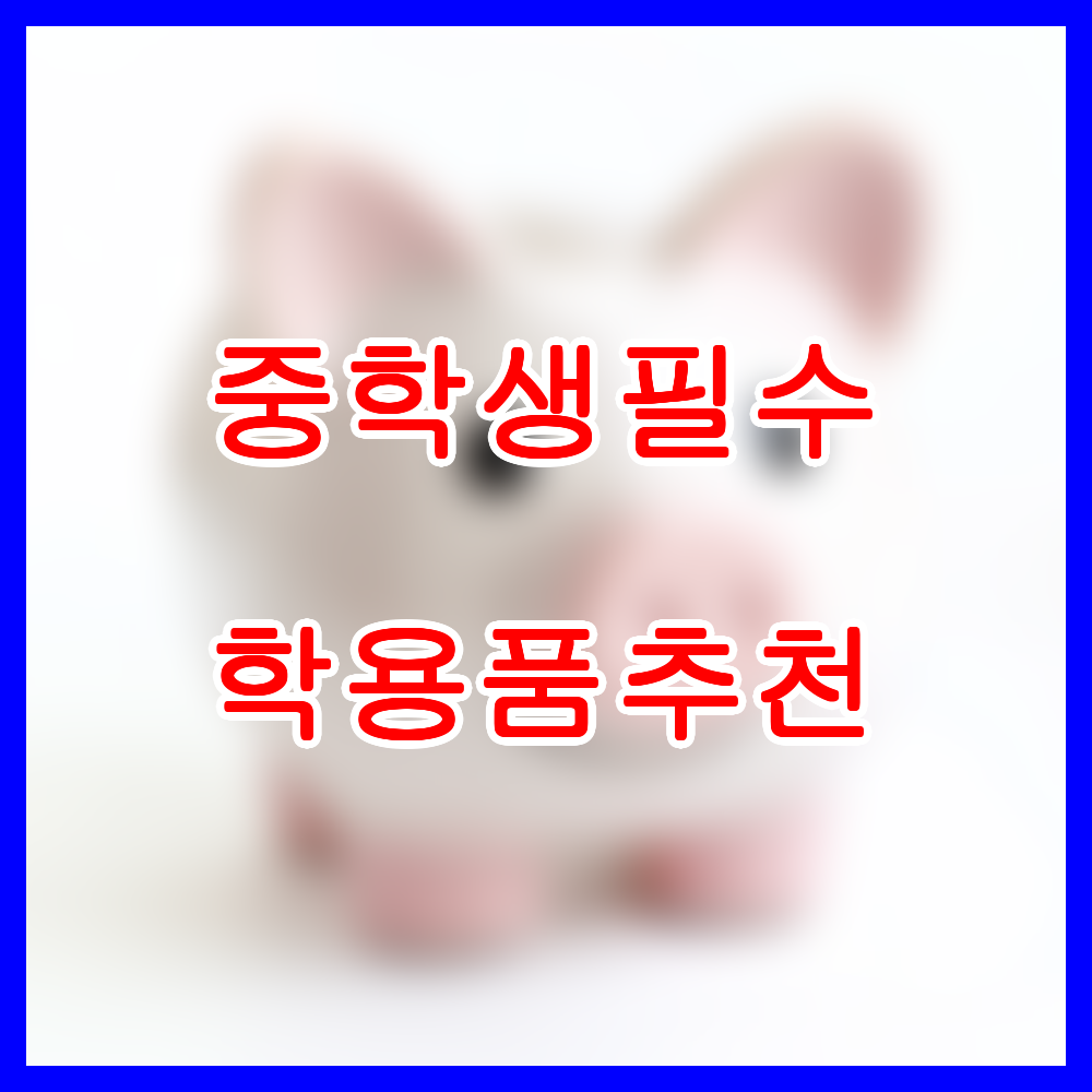 중학생 필수 학용품 추천
