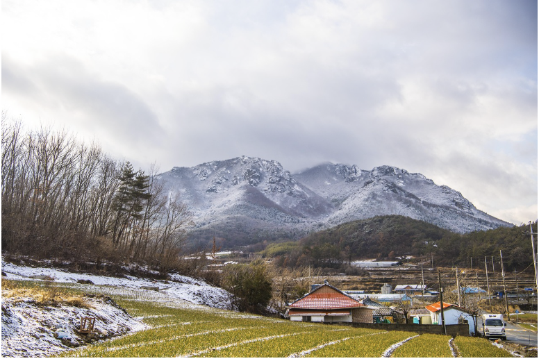 슬픔이 고향에 깊숙이 파고든 미래 사회의 모습
– 기억은 사라지고, 정서는 저장된다