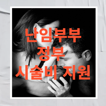 난임부부 정부 지원