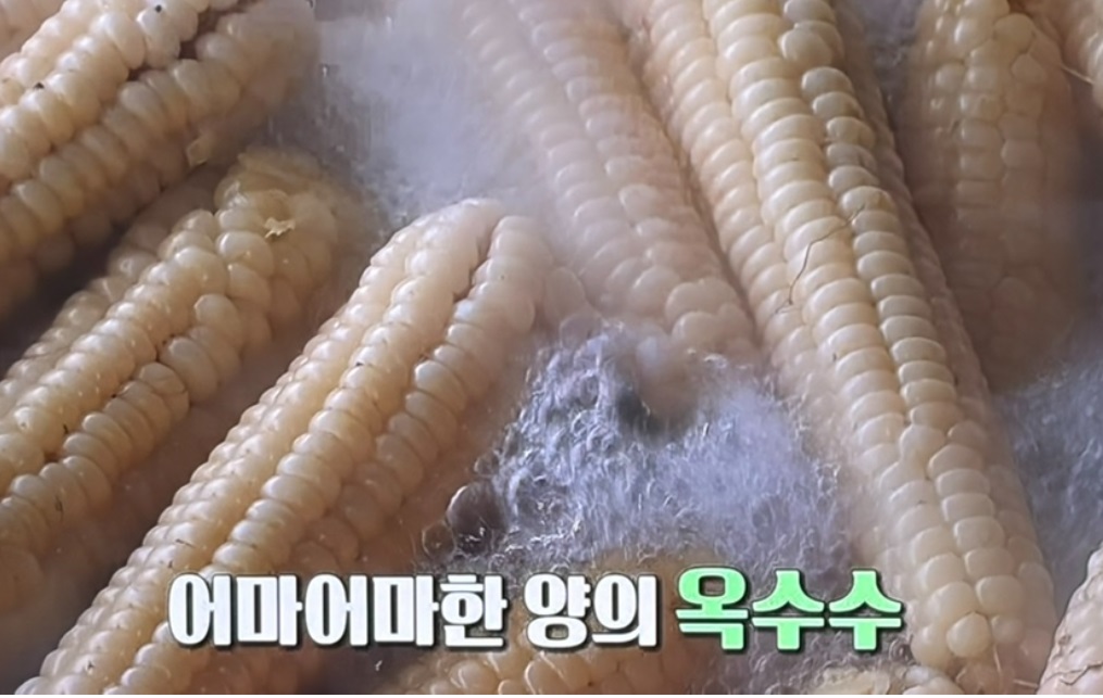 괴산-가마솥-옥수수-30년-부녀