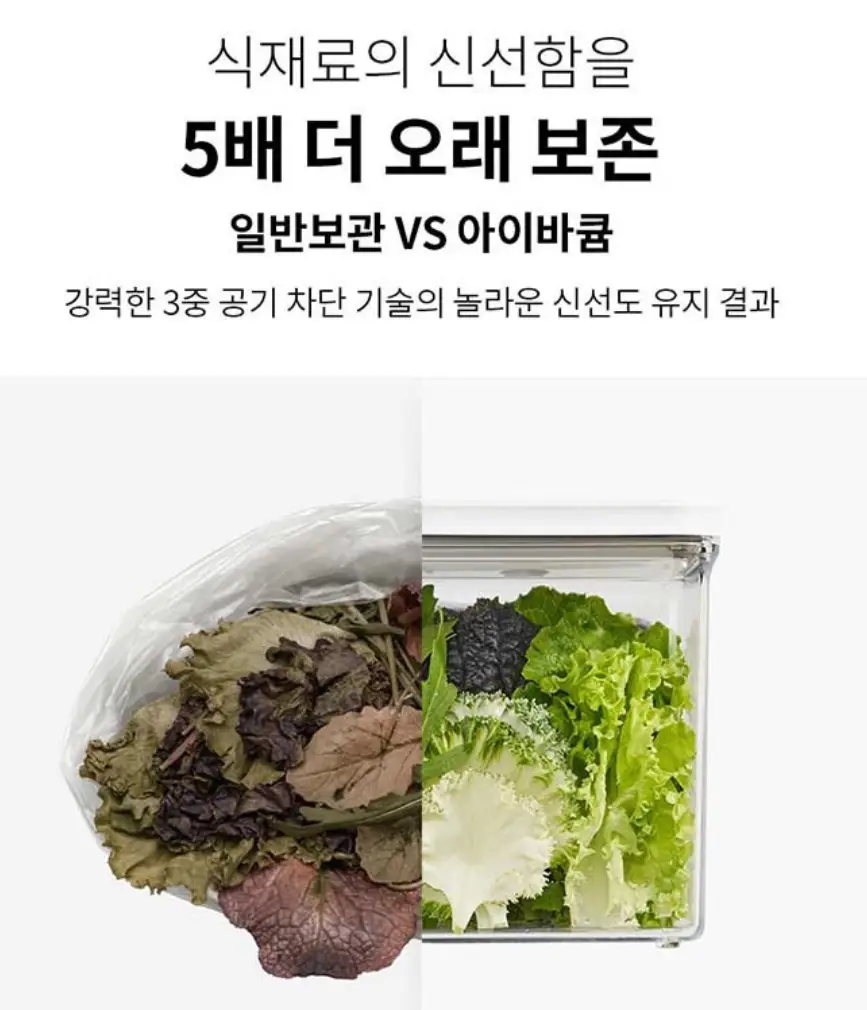 사진19