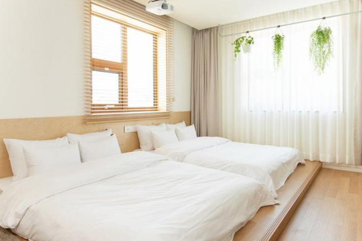 춘천 호텔 내돈내산