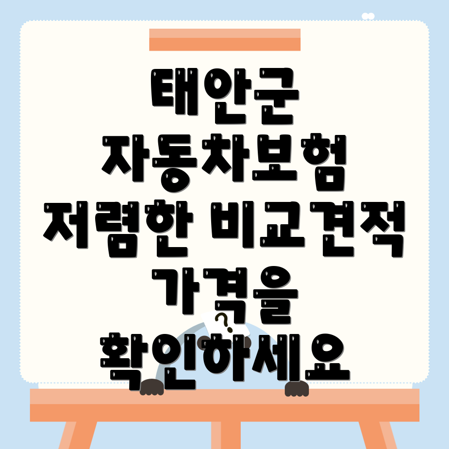 자동차보험 비교견적