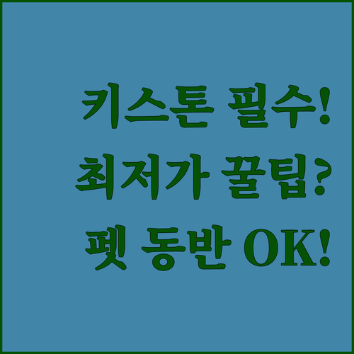 콜로라도 스키여행 조지타운 키스톤 최..