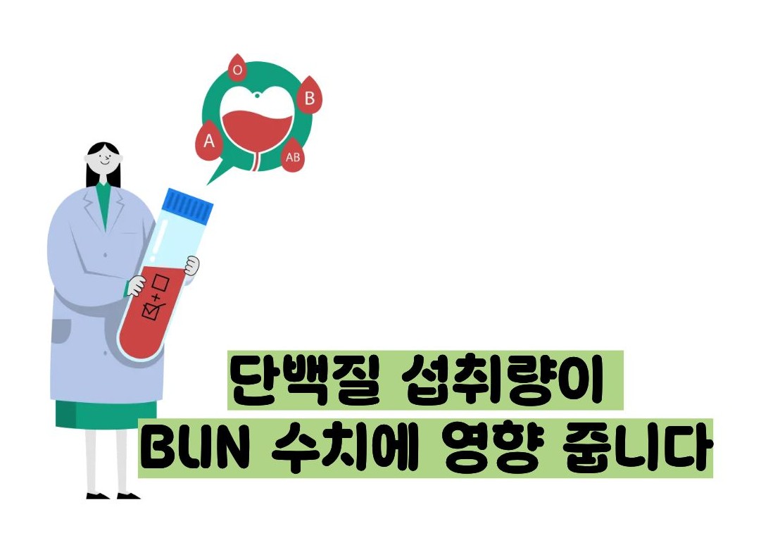 BUN 수치