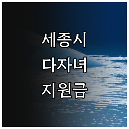2025 세종시 다자녀 입학지원금 완..