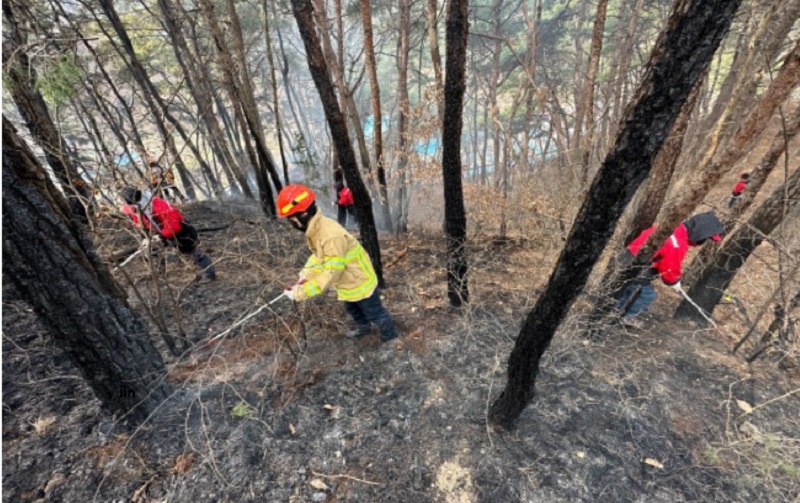 대구 함지산 재발화된 산불